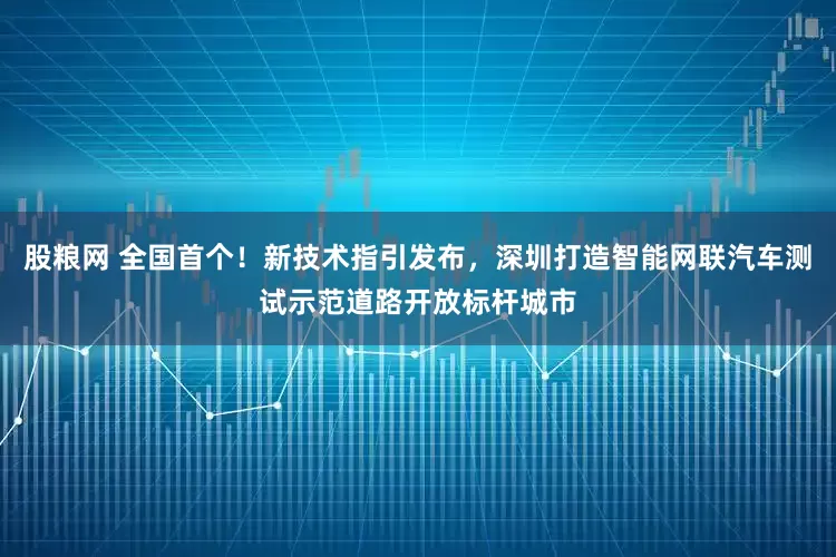 股粮网 全国首个！新技术指引发布，深圳打造智能网联汽车测试示范道路开放标杆城市